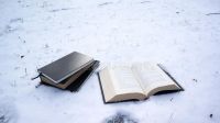 Libros para leer en vacaciones de invierno