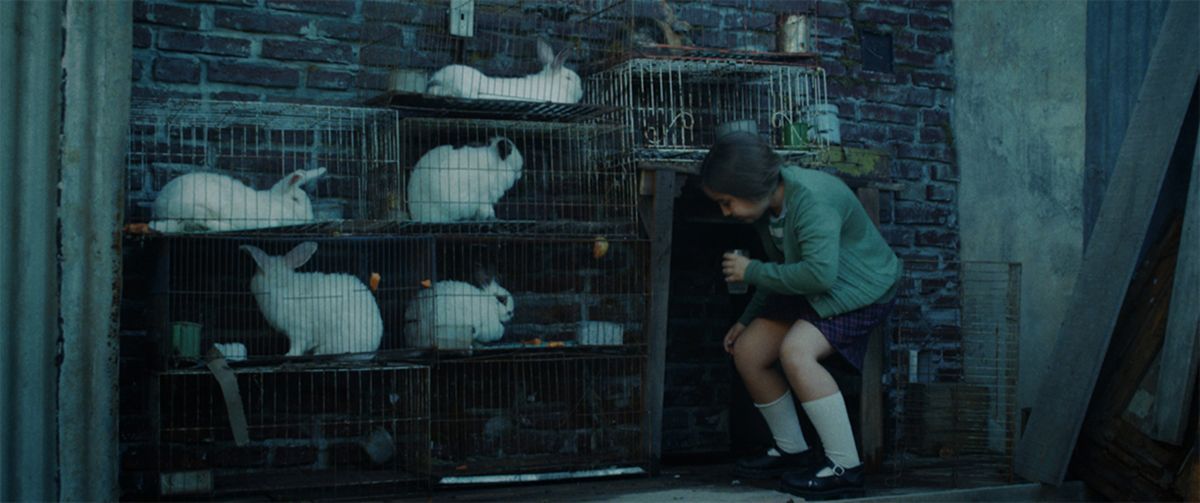 Crítica de "La casa de los conejos", fallida transposición de la novela de Laura Alcoba