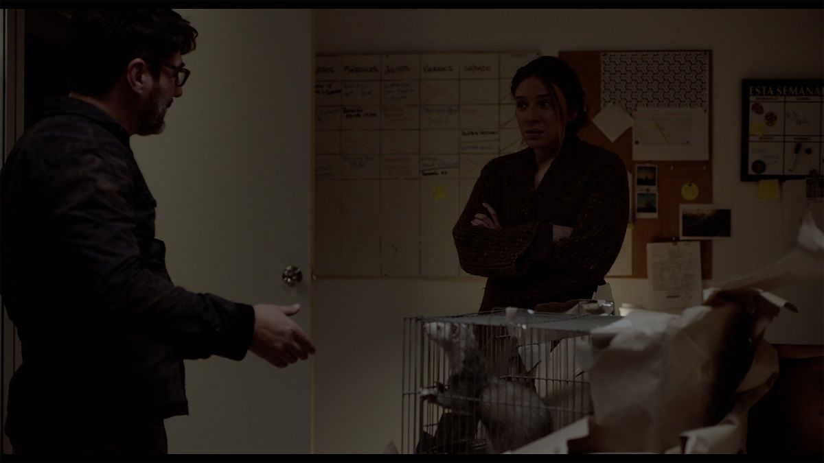 Crítica de "36 horas" o la crónica del agobio por Néstor Mazzini