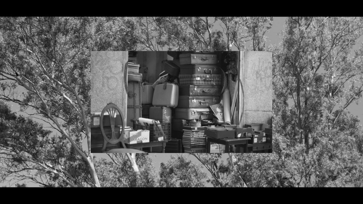 Crítica de "Un cuerpo estalló en mil pedazos",  un documental de Martín Sappia