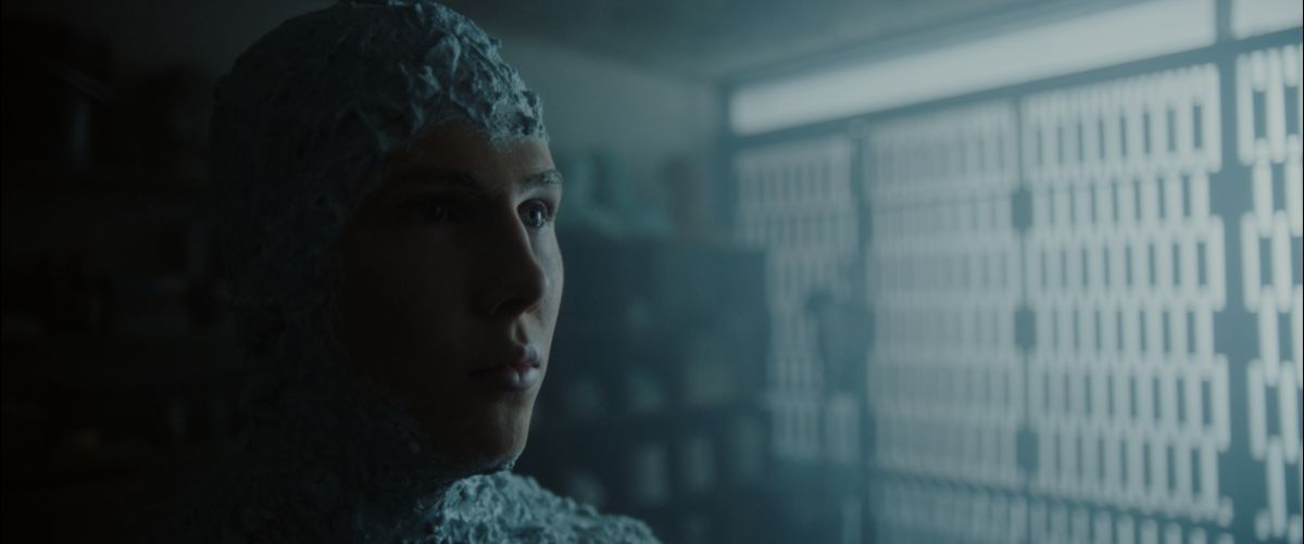 Crítica de "El perfecto David" o la obsesión por el cuerpo de Felipe Gómez Aparicio