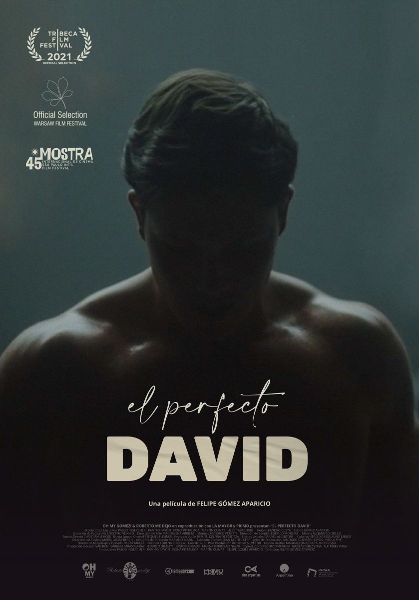 Crítica de "El perfecto David" o la obsesión por el cuerpo de Felipe Gómez Aparicio