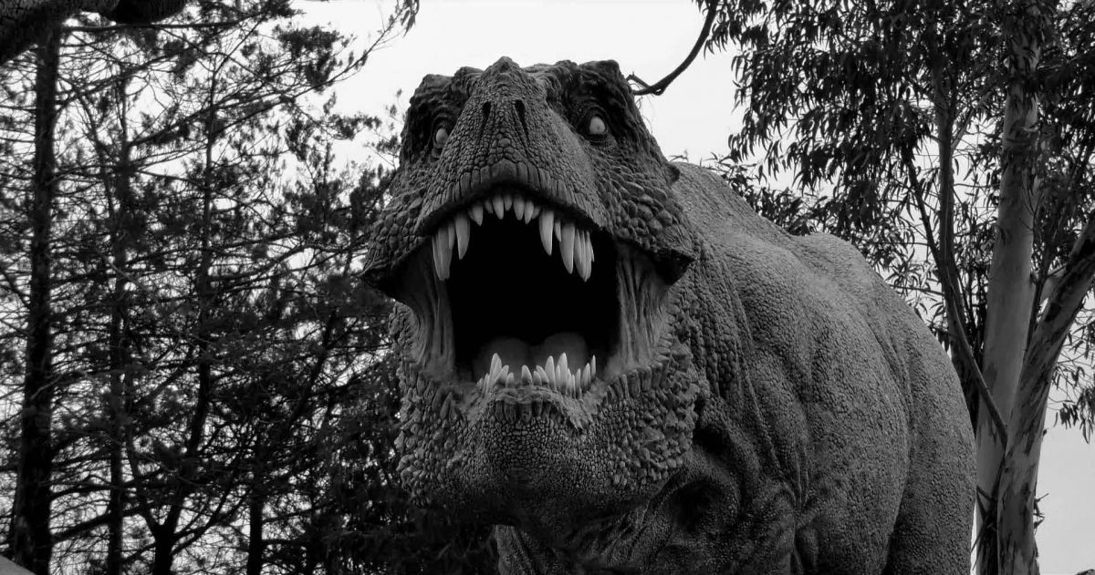 Festivales: Todos los ganadores del 2 DOCA