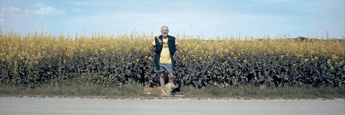 Crítica de "Retiros (in)voluntarios" de Sandra Gugliotta, historias de neoliberalismo