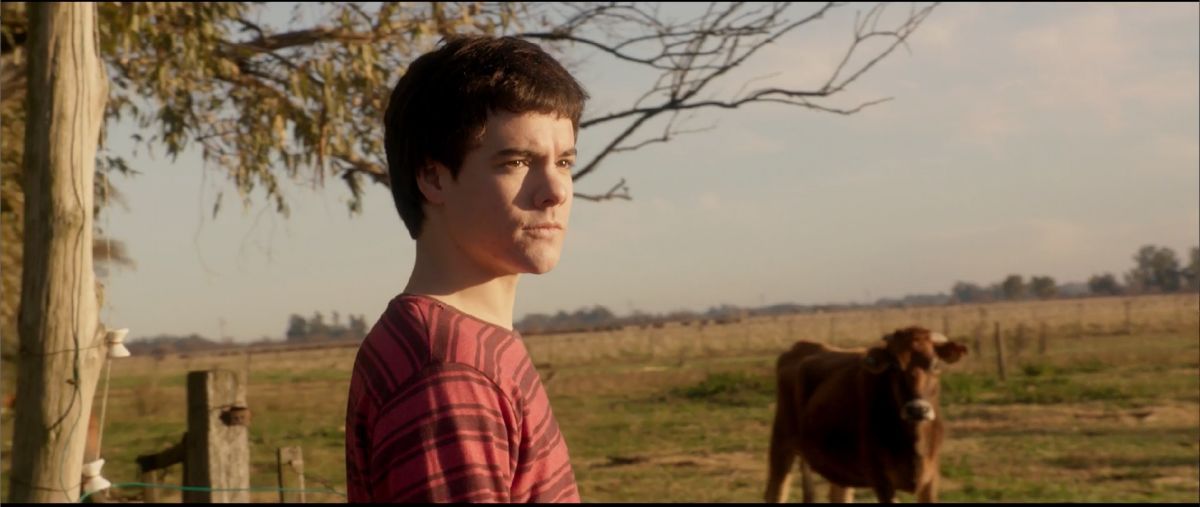 Crítica de “Amor bandido”, un audaz thriller erótico con Renato Quattordio 