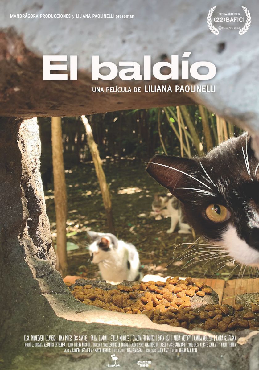 Crítica de “El Baldío” de Liliana Paolinelli, una reflexión sobre la vida moderna