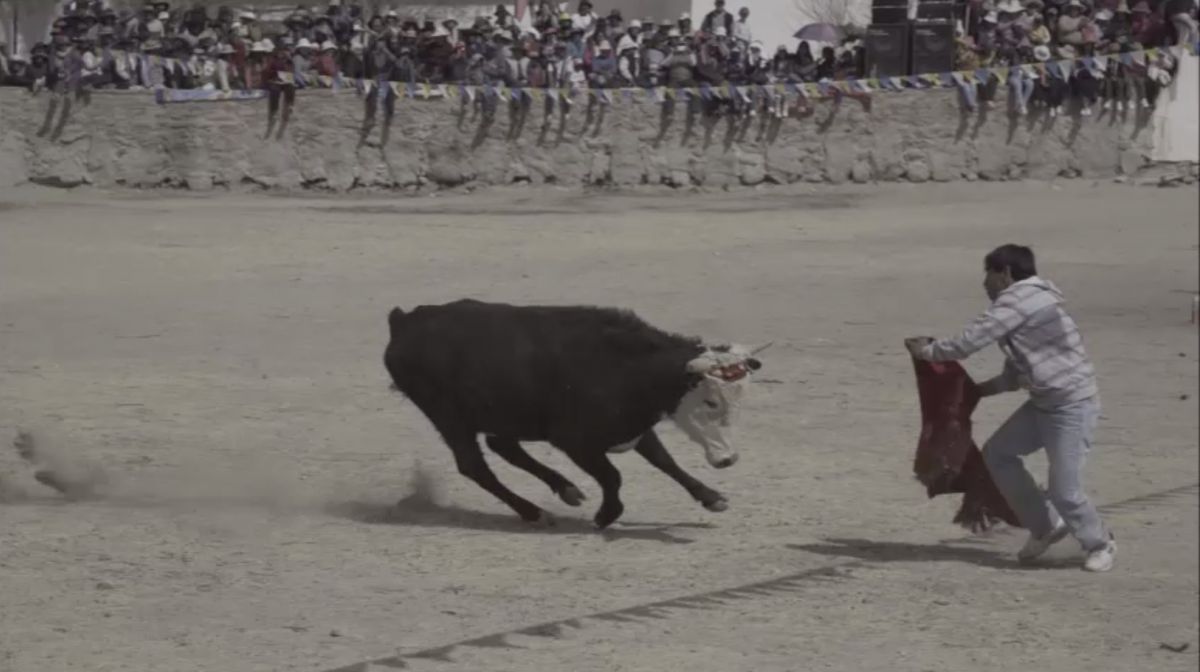 Crítica de “El despenador”, el viaje introspectivo de Miguel Kohan por el norte argentino