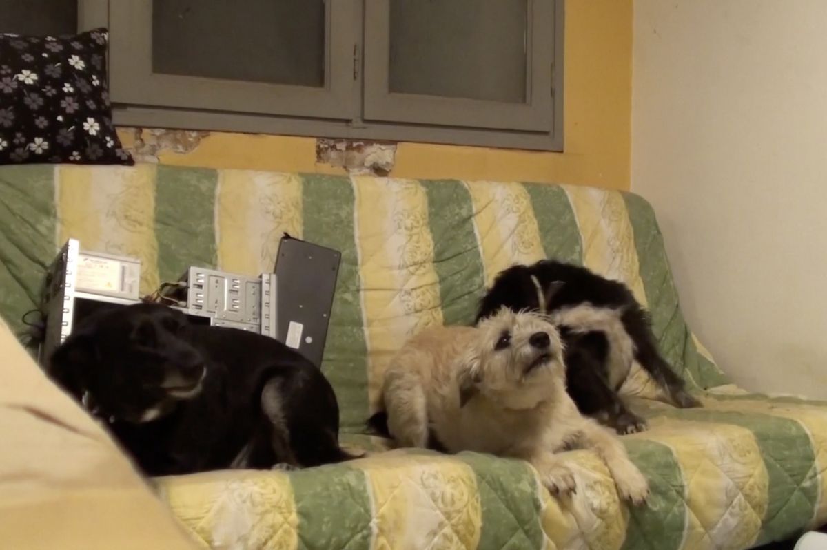 Crítica de "Qué será del verano", una nueva y simple aventura de Ignacio Ceroi