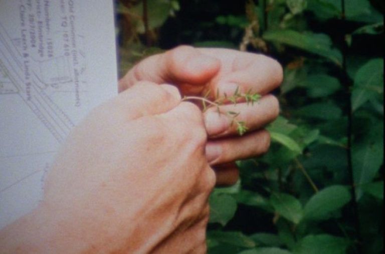 Crítica de "Black Pond", un mediometraje de Jessica Sarah Rinland