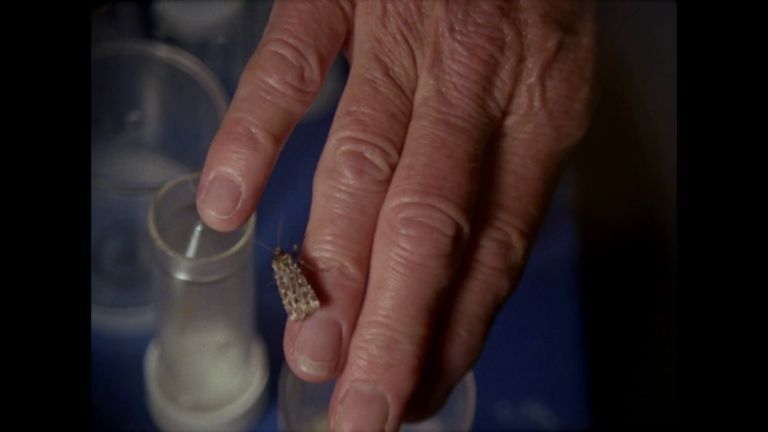 Crítica de "Black Pond", un mediometraje de Jessica Sarah Rinland