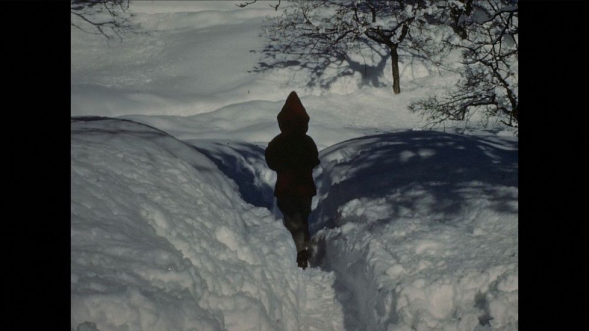 Crítica de "My Mexican Bretzel", un imperdible falso documental de Nuria Giménez