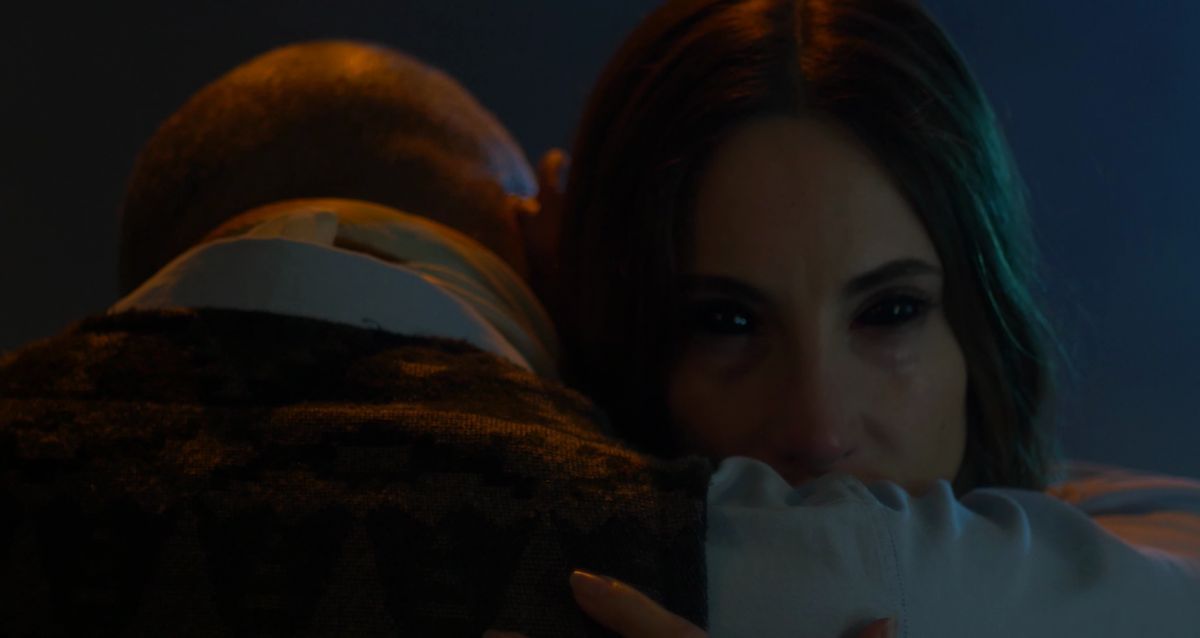 Revelan el trailer de "La Forma del Bosque", de Gonzalo Mellid